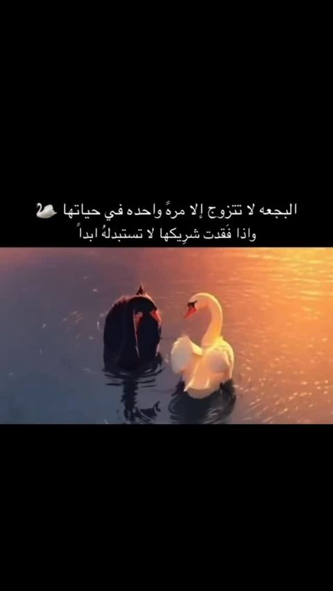 مش أي هدية…
البجعة بتختار مرة وحدة وبتكمل للأبد 🦢✨
فاللي بيهديك هالسنسال… واضح شو ناوي 🤍
#jewelry #gold #viral #fyp #ᴇxᴘʟᴏʀᴇᴘᴀɢᴇ